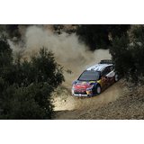 Oakley Dispatch, WRC Sebastien Loeb Sign, Matte Black, Grey
