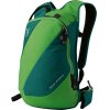 Hagl�fs Snow Passion, Vihre�/Lime