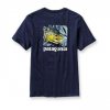 Patagonia World Trout Catch T-paita