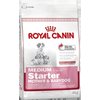 Royal Canin Medium Starter