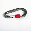 Edelweiss Guard HMS screw gate