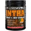 FAST Workout Intra 300g