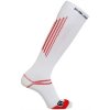 Salomon Compression