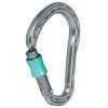 Mammut Bionic HMS Mythos Screw Gate