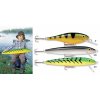 Rapala Shad Rap J�ttivaappu