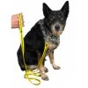 Metolius Dog leash