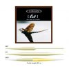Vision Cult DT Fly Line, floating