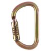 Petzl Vulcan TriactLock