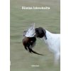 Videosara Riistaa lakeuksilta