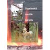 Videosara Pyyntiretki� suurille kairoille