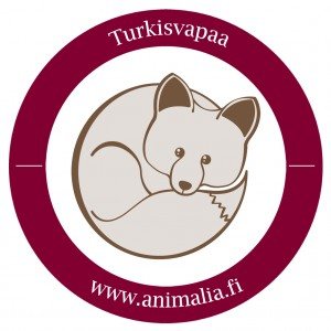 Turkiton yritys